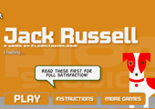 Jogos de Cachorro - Jack Russell